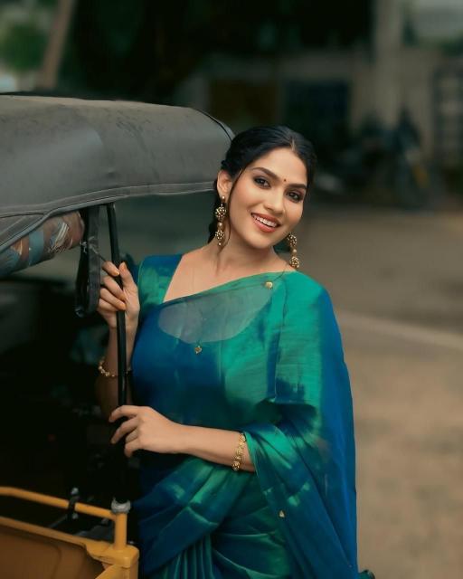 Blousewala  Raga Tissue Kolkata saree wholesale distributors