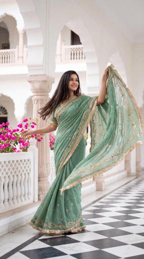 Dazira Georgette vol 10 catalog plain sarees wholesale online