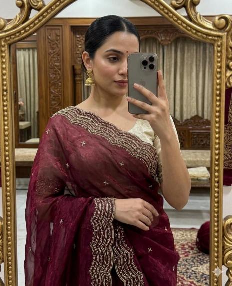 Dazira Space Sattin Bits Sequence Wholesale saree shops in Delhi