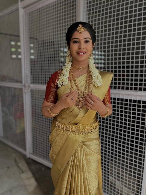 Dazira SF 1080 catalog chennai wholesale saree market