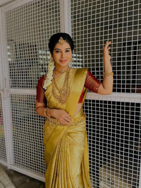 Dazira SF 1080 catalog chennai wholesale saree market