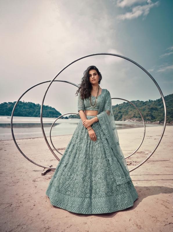 Senhora pure Butterfly net lehengha choli wholesaler in surat