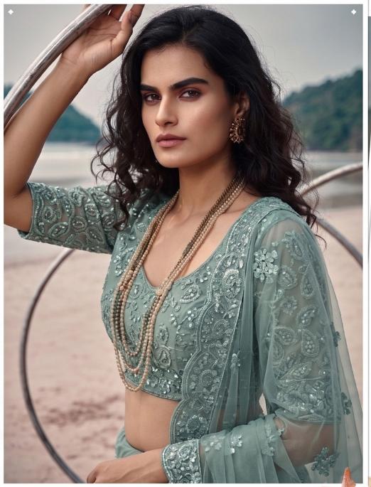 Senhora pure Butterfly net lehengha choli wholesaler in surat
