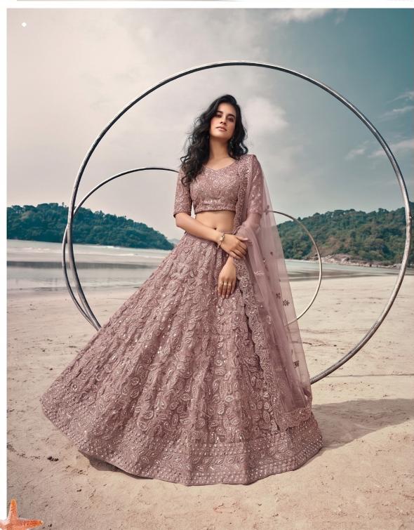 Senhora pure Butterfly net lehengha choli wholesaler in surat