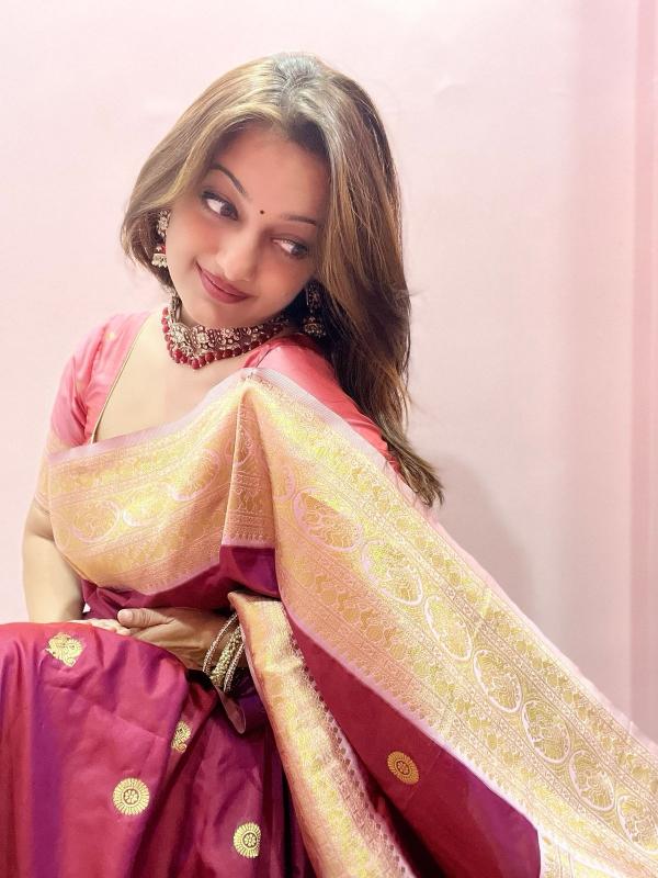 Dazira Princess vol 2 catalog pure silk saree wholesale online