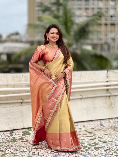 Dazira Soft Tissue Silk vol 2 catalog wholesale saree online in mumbai