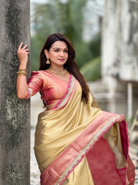 Dazira Soft Tissue Silk vol 2 catalog wholesale saree online in mumbai