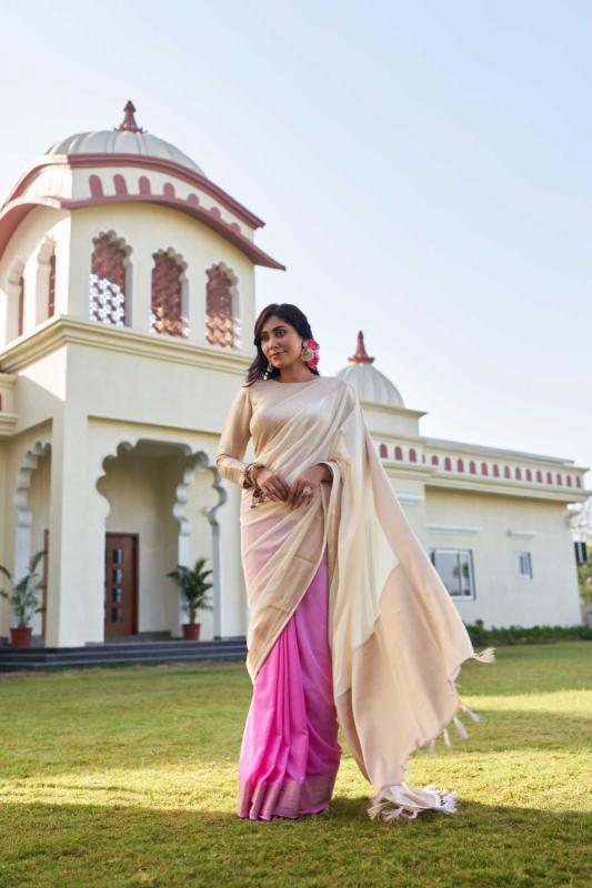 Dazira AFS Ishani catalog saree wholesale india