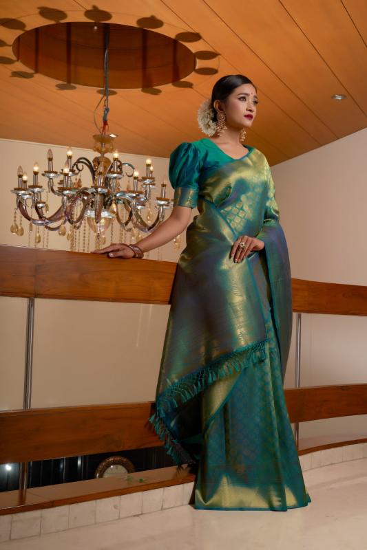 Dazira AFS Kyra catalog chettinad sarees wholesale