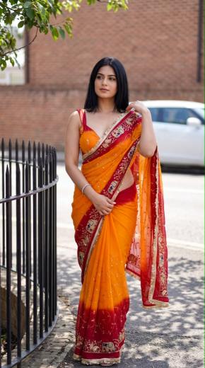 Dazira Georgette vol 60 catalog gadwal sarees wholesale in gadwal
