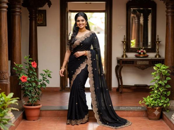 Dazira RI Carry catalog fancy sarees wholesale market