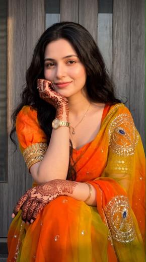 Dazira Georgette vol 90 catalog saree wholesale dealers contact number