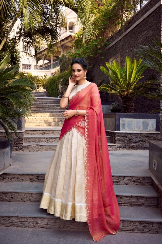 Sabella Jacquard catalog lehenga choli wholesale shop in aminabad lucknow